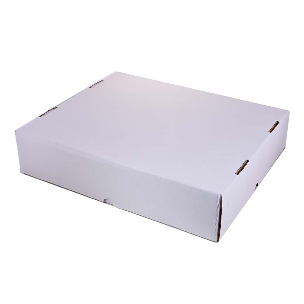GUARDIAN SHIELD  5000CT Storage Box  10pk
